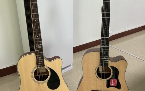 卡马D1C和费森CLR300哪个好？多方面对比这两款入门型号