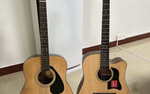 雅马哈F310和费森CLR300选哪个好？详细介绍对比这两款初学者入门吉他