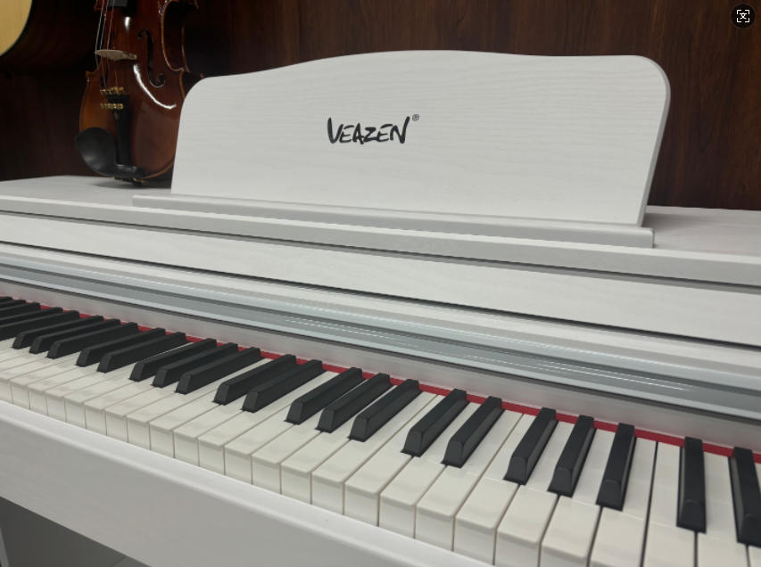 从便携到立式：1000-3000元不同预算下，电钢琴选购终极指南！