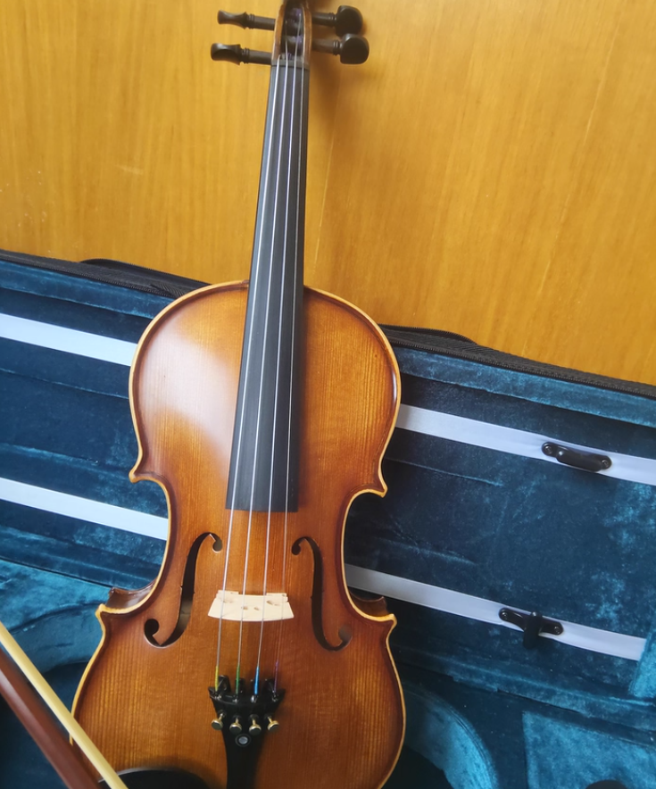 新手入门小提琴推荐2026：千元级实木小提琴测评，成人自学居家练琴必看！