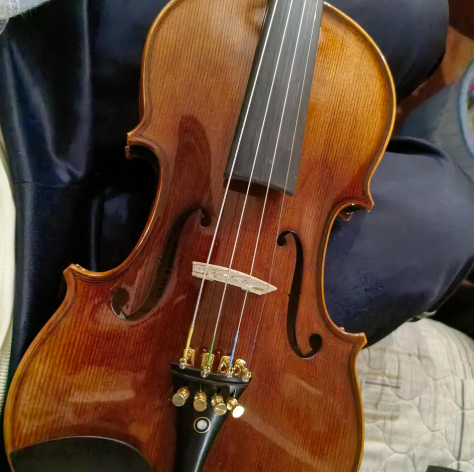 学生党小提琴怎么选？预算 1000-3000元避坑攻略 + 附上9款型号实测！